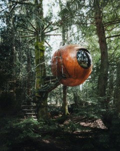 Sa 1684523290 Kalen Emsley Mn7GEjKA7HM Unsplash