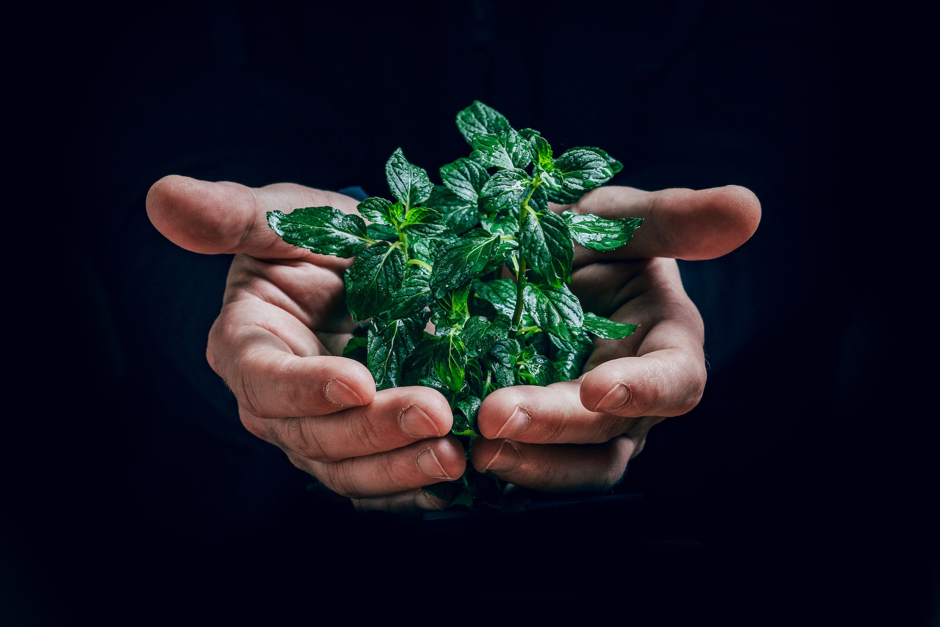 Sa 1685356208 jan kopriva nex3P5iBnPg unsplash